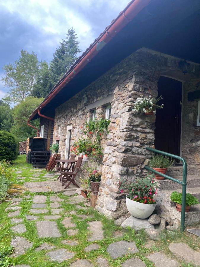 Železná Ruda Apartman U Potucku 아파트 외부 사진